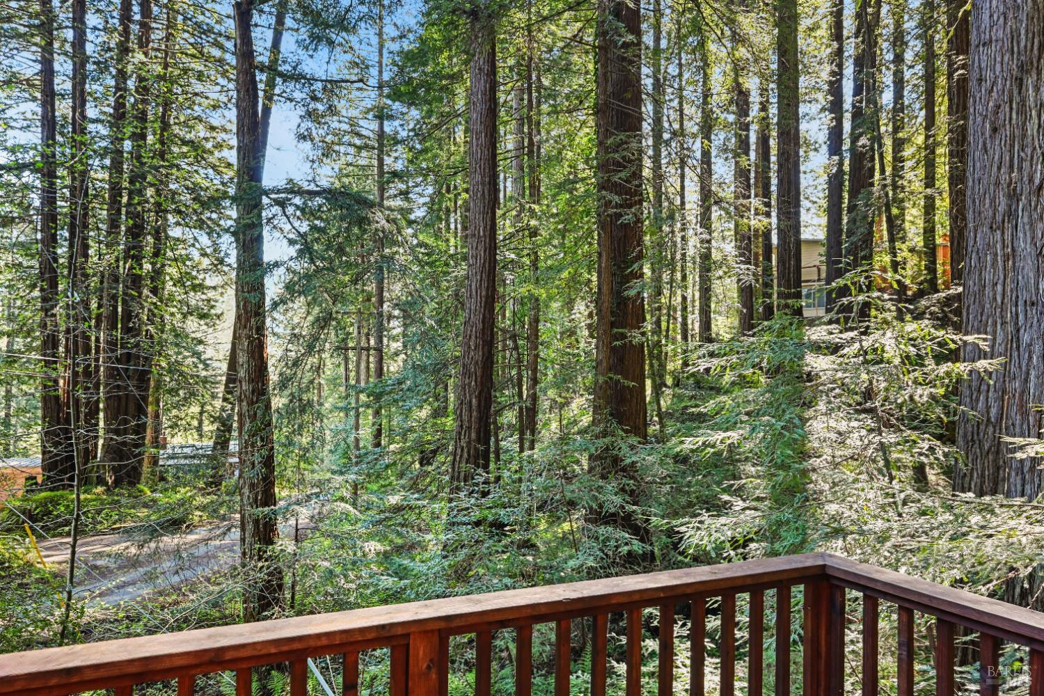Detail Gallery Image 29 of 36 For 9 Huckleberry Hts, Cazadero,  CA 95421 - 1 Beds | 1 Baths