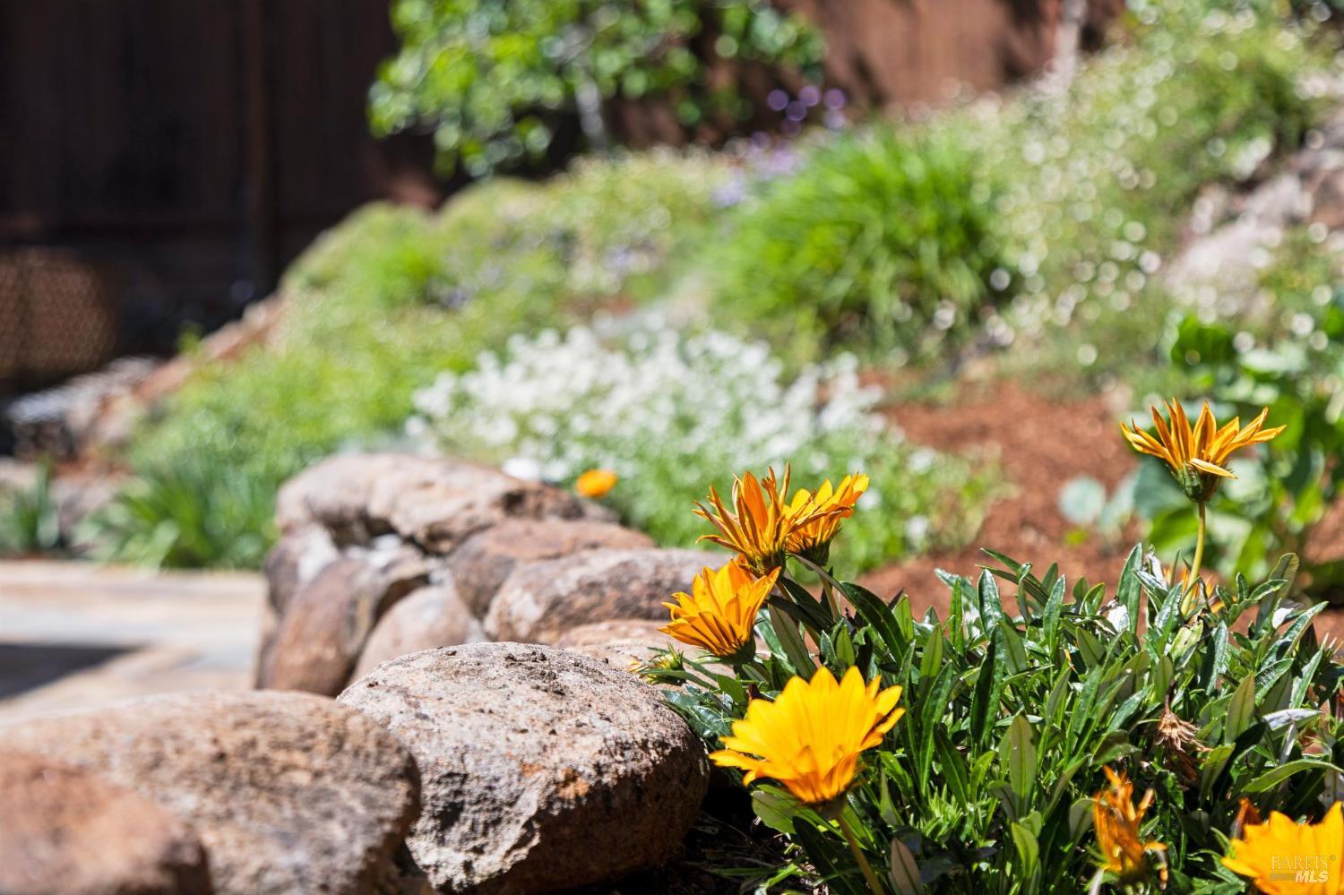 Detail Gallery Image 47 of 61 For 138 Kipling Dr, Mill Valley,  CA 94941 - 4 Beds | 3 Baths