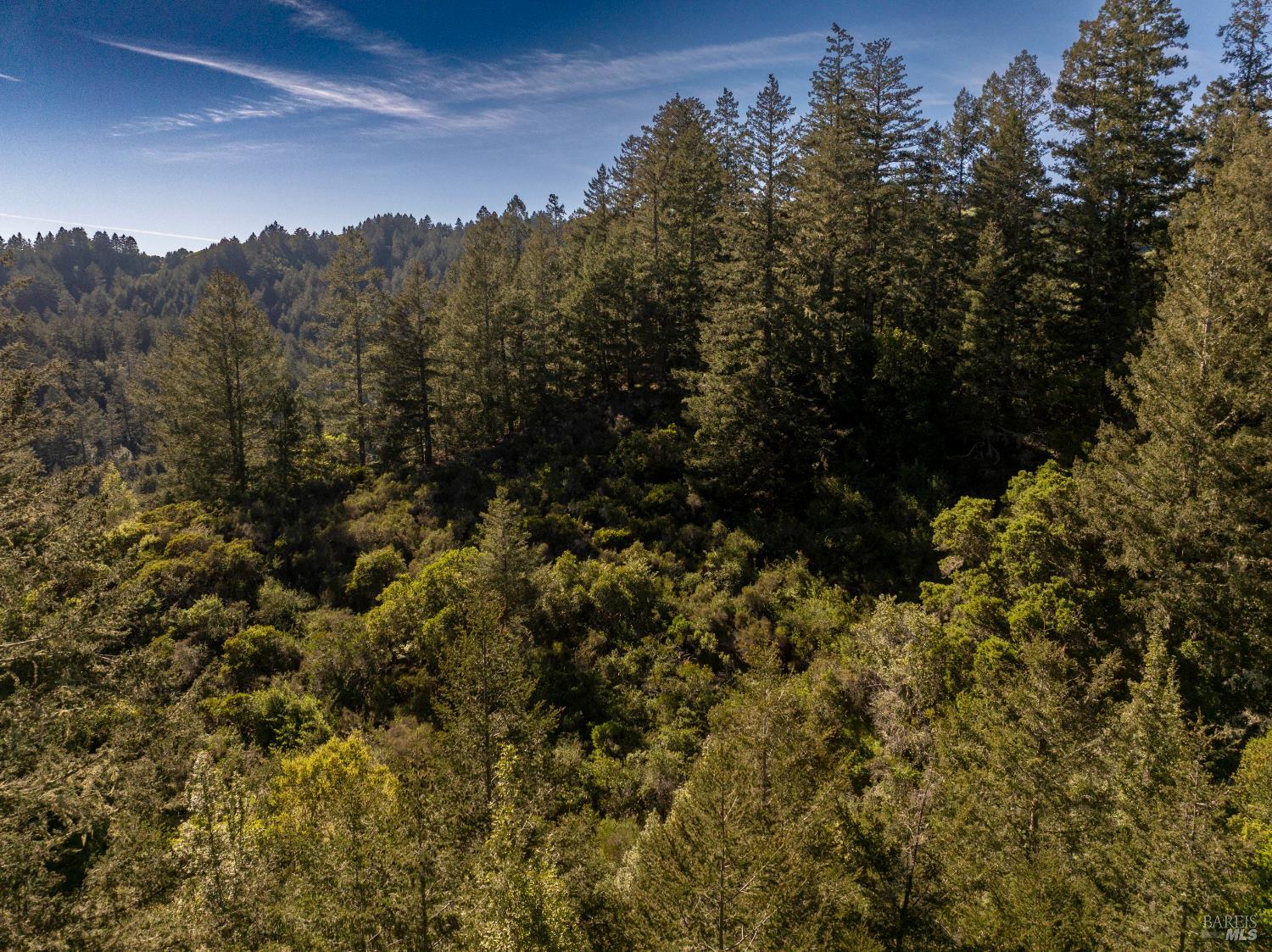 Detail Gallery Image 12 of 23 For 0 Vista Ave, Forest Knolls,  CA 94933 - – Beds | – Baths