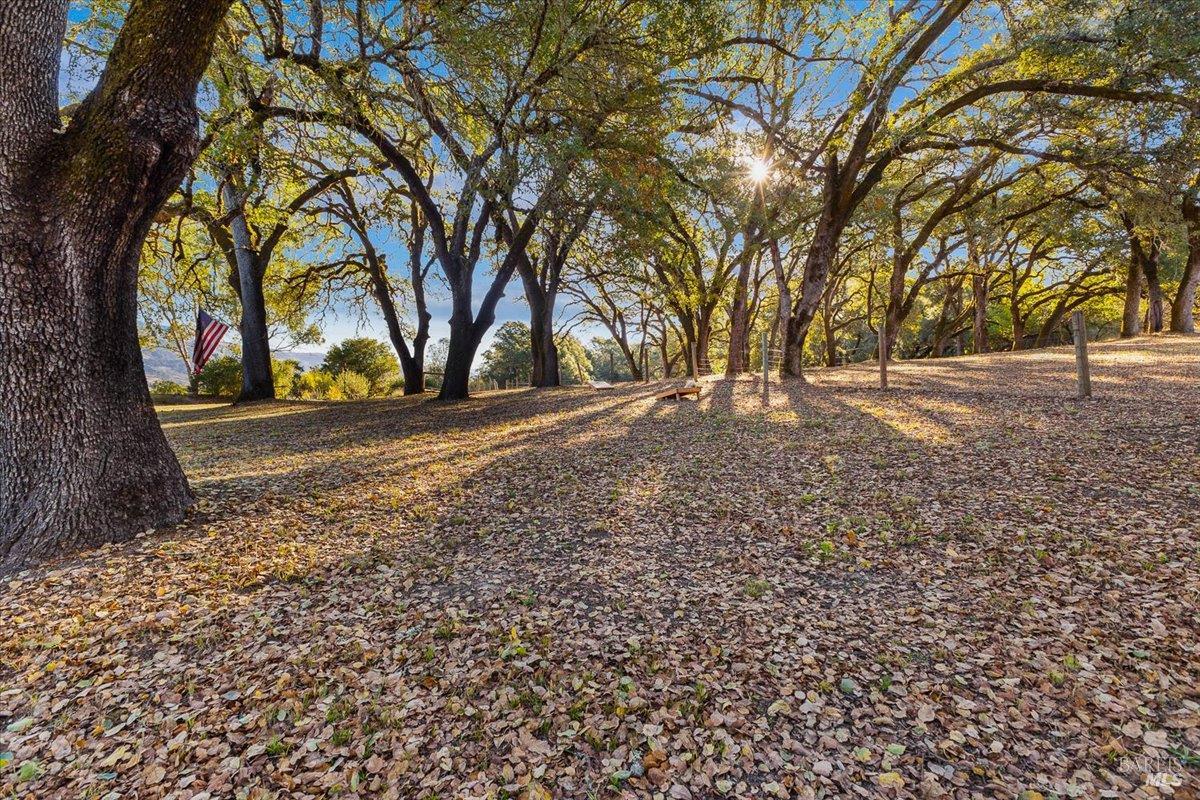 Detail Gallery Image 31 of 39 For 350 Canyon Rd, Geyserville,  CA 95441 - 2 Beds | 1/1 Baths