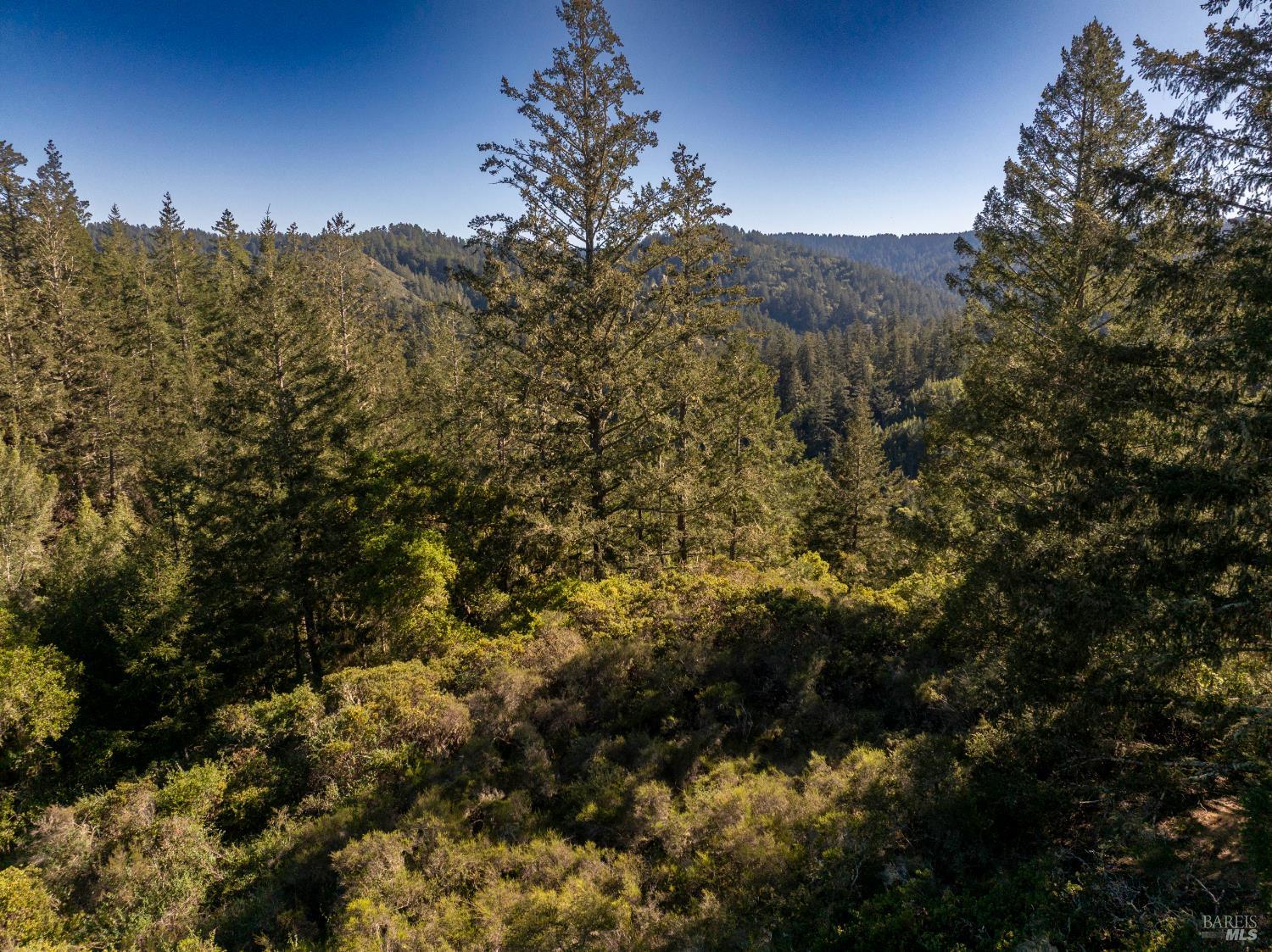 Detail Gallery Image 10 of 23 For 0 Vista Ave, Forest Knolls,  CA 94933 - – Beds | – Baths