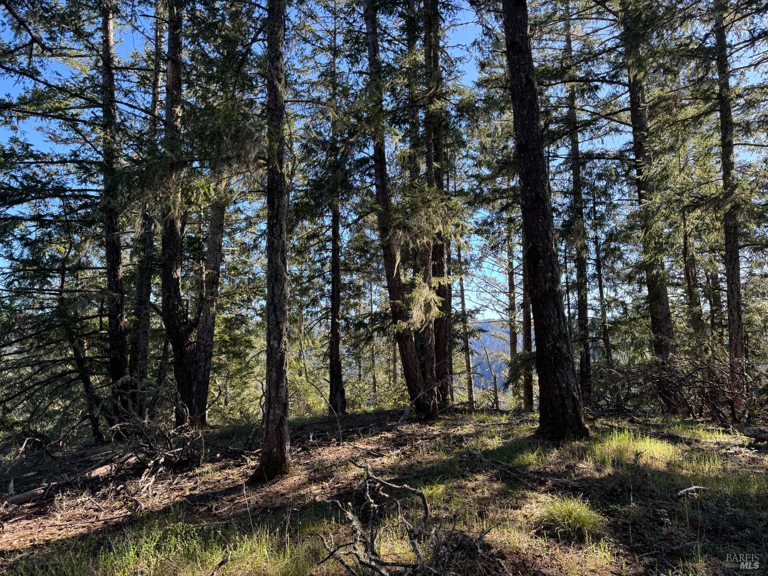 Detail Gallery Image 13 of 23 For 0 Vista Ave, Forest Knolls,  CA 94933 - – Beds | – Baths