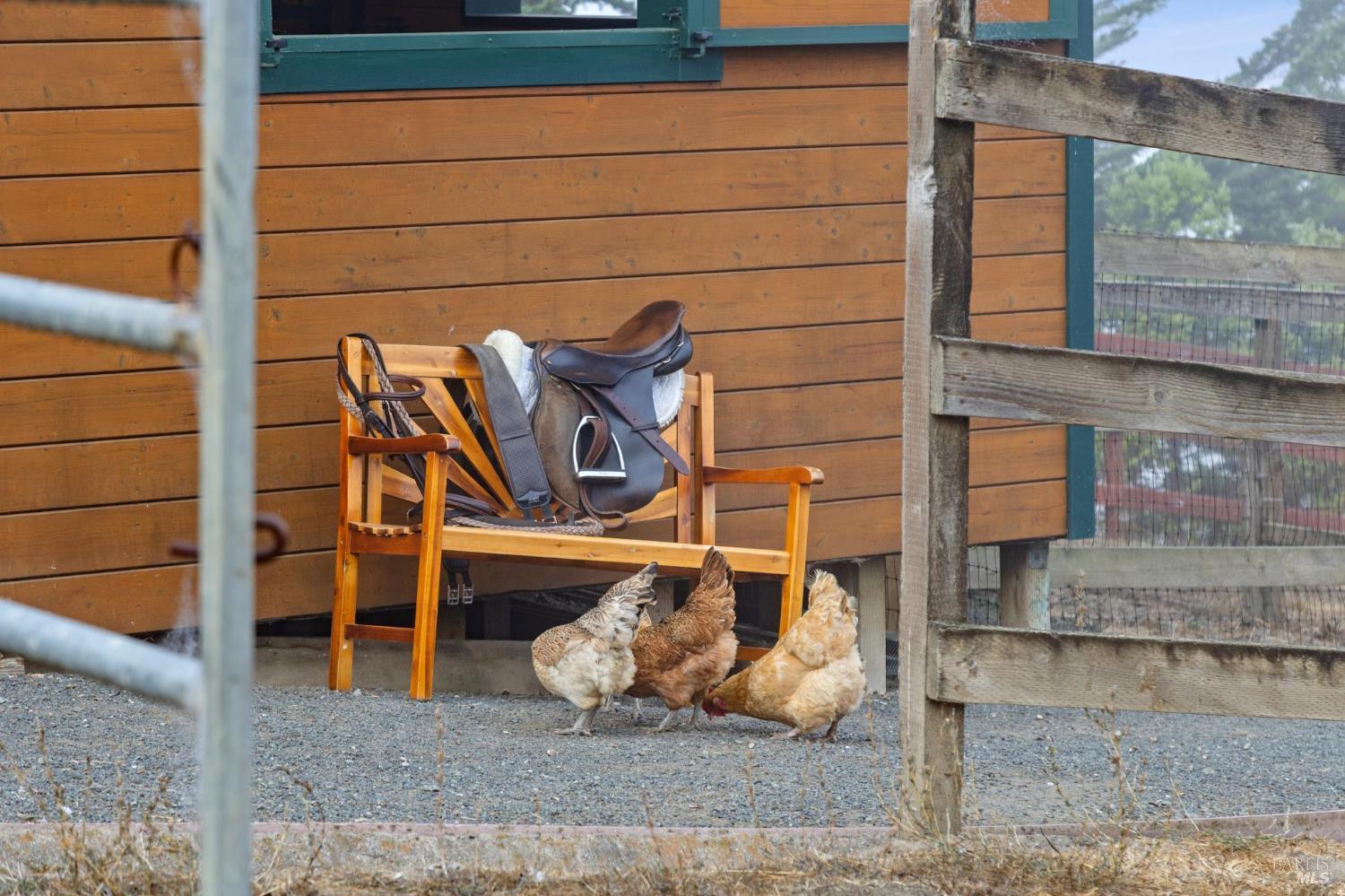 Detail Gallery Image 77 of 99 For 6381 Nicasio Valley Rd, Nicasio,  CA 94946 - 3 Beds | 2/1 Baths