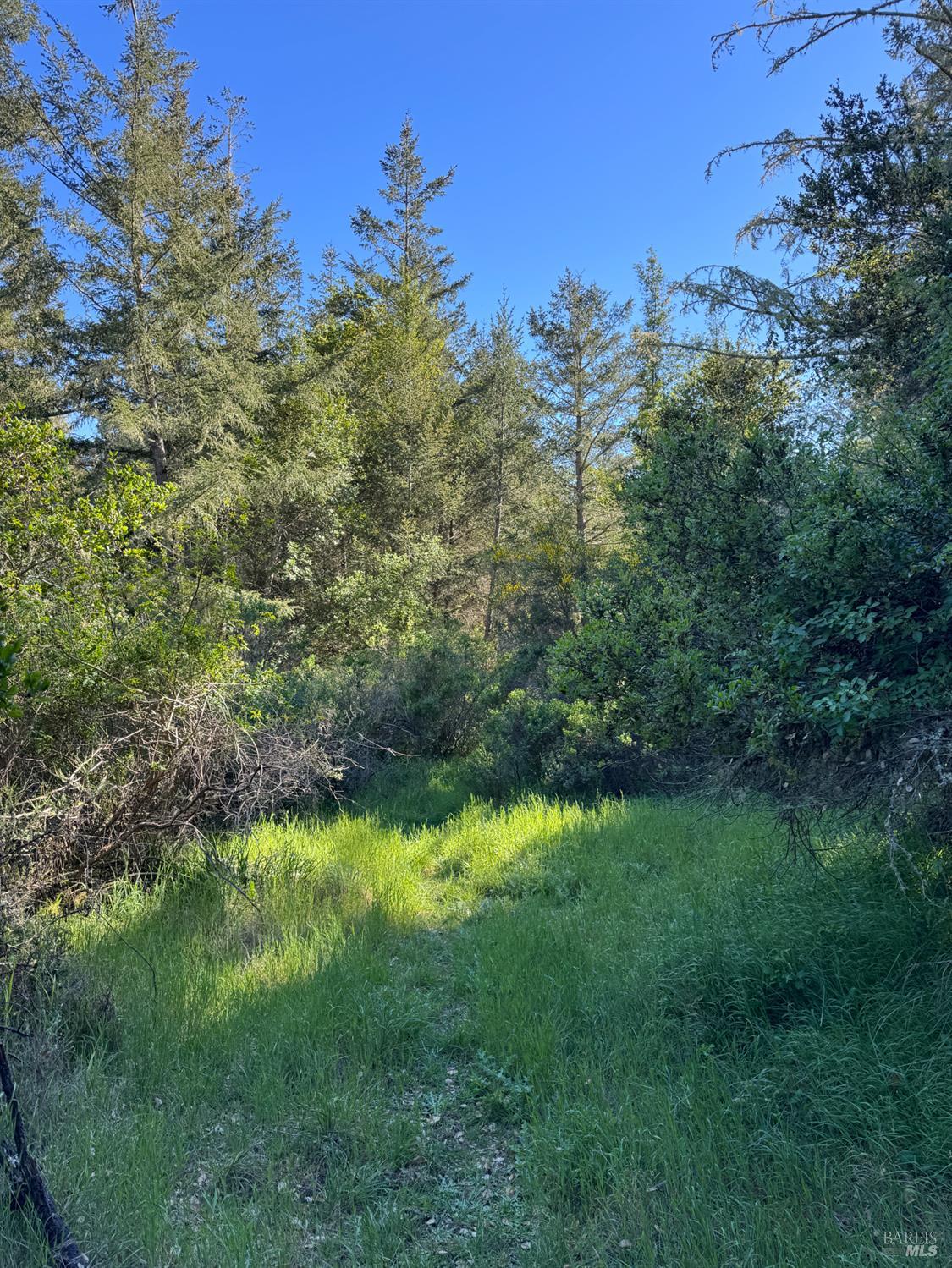 Detail Gallery Image 21 of 23 For 0 Vista Ave, Forest Knolls,  CA 94933 - – Beds | – Baths