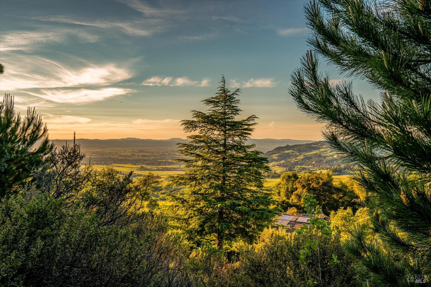 Detail Gallery Image 80 of 99 For 6048 Hyland Way, Penngrove,  CA 94951 - – Beds | – Baths