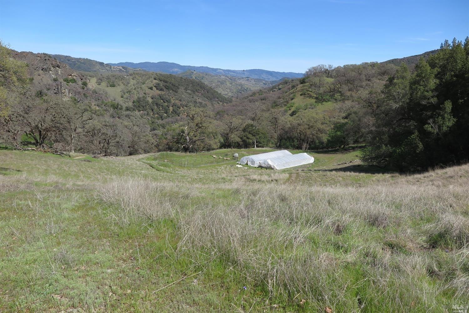 Detail Gallery Image 8 of 37 For 12950 Eagle Rock Rd, Hopland,  CA 95449 - – Beds | – Baths