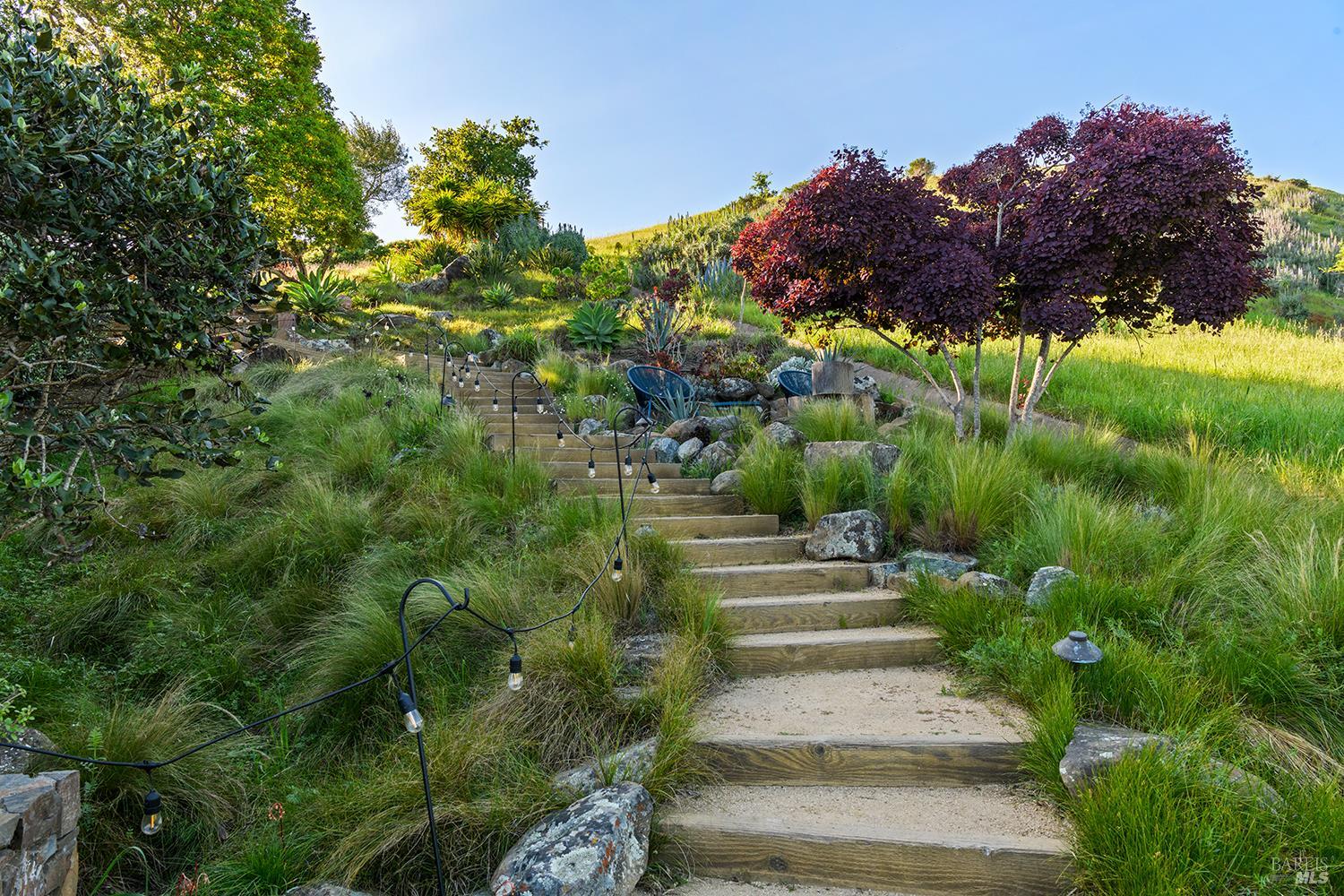 Detail Gallery Image 47 of 69 For 8 Mariposa Ct, Tiburon,  CA 94920 - 4 Beds | 5/2 Baths