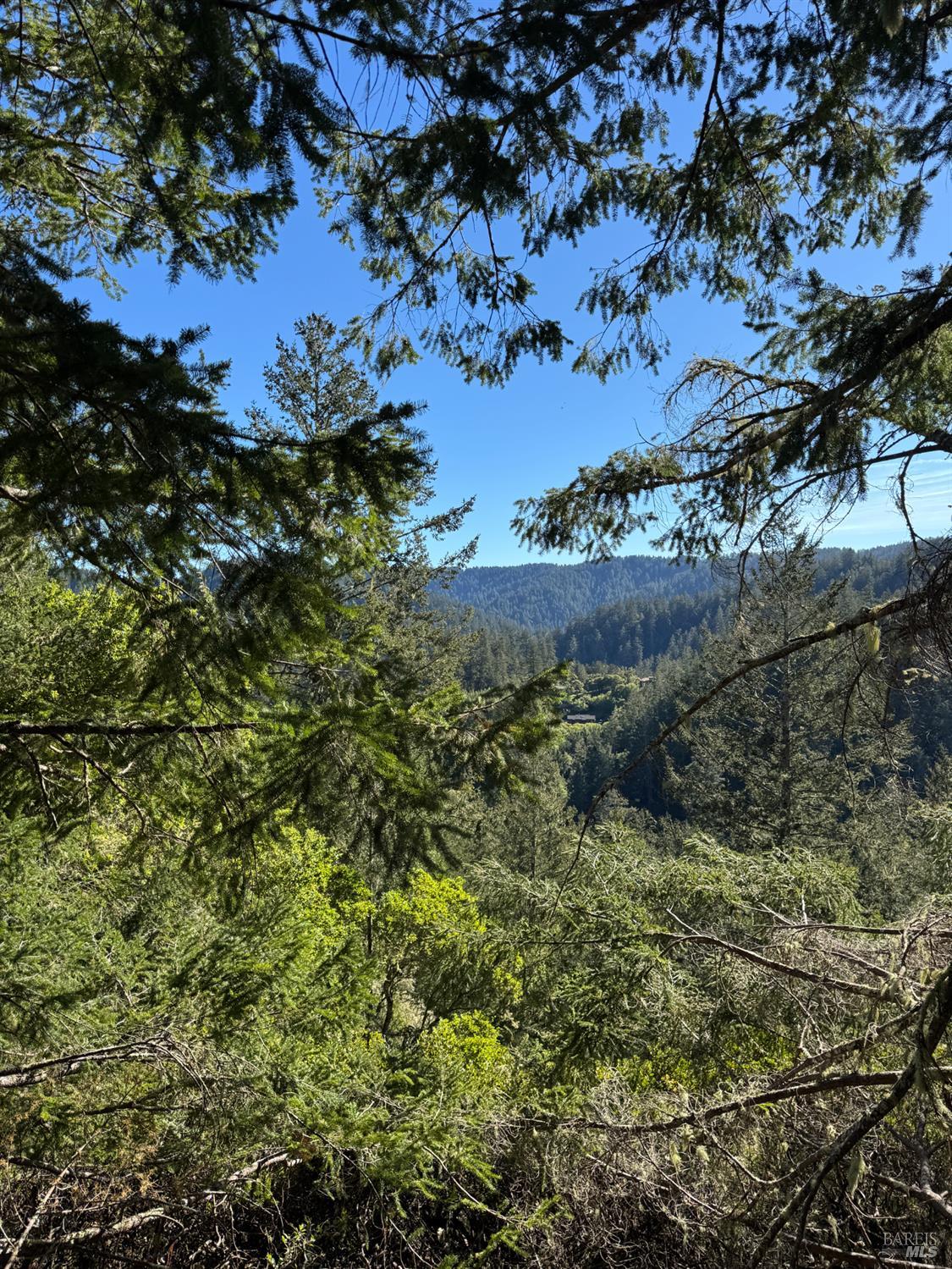 Detail Gallery Image 19 of 23 For 0 Vista Ave, Forest Knolls,  CA 94933 - – Beds | – Baths