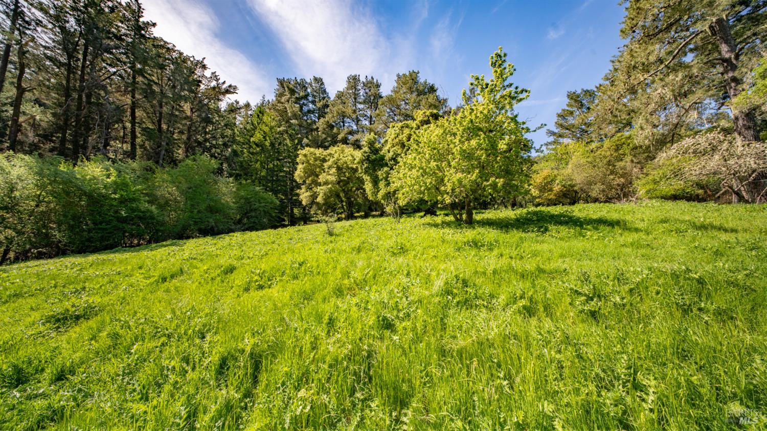 Detail Gallery Image 25 of 43 For 1 Alamo Way, Lagunitas,  CA 94938 - 2 Beds | 2 Baths
