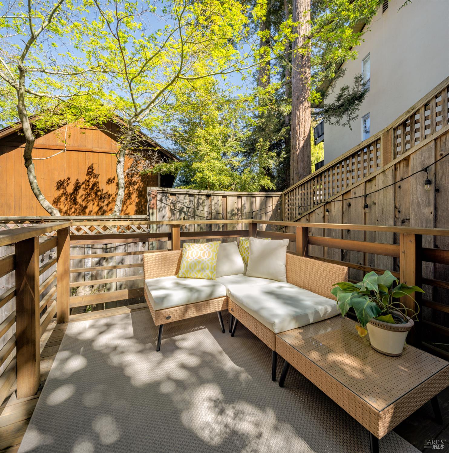 Detail Gallery Image 16 of 21 For 883 Magnolia Ave, Larkspur,  CA 94939 - 2 Beds | 2/1 Baths