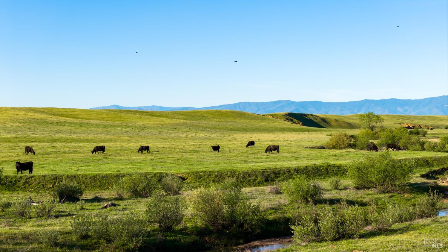 Detail Gallery Image 11 of 20 For 0 Rancho Tehama Rd, Red Bluff,  CA 96021 - – Beds | – Baths