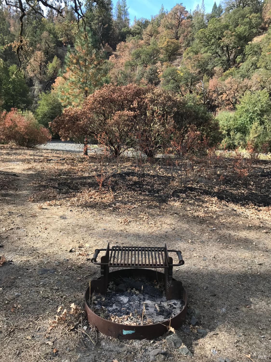 Detail Gallery Image 8 of 16 For 2168 Bear Creek Rd, Upper Lake,  CA 95485 - – Beds | – Baths