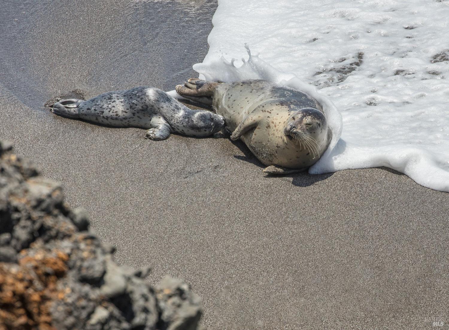 Detail Gallery Image 6 of 10 For 100 Lupine Close Unkn, The Sea Ranch,  CA 95497 - – Beds | – Baths