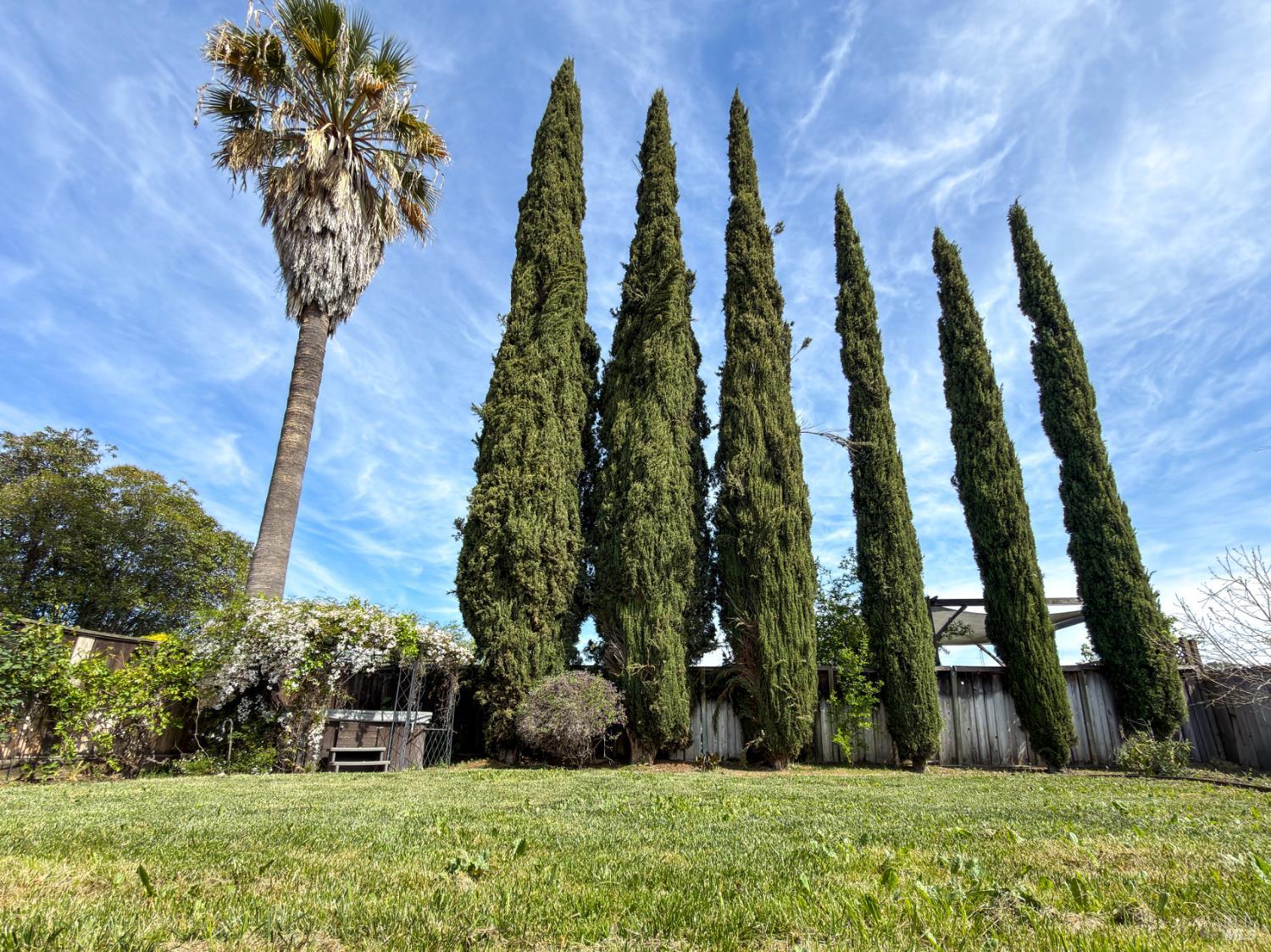 Detail Gallery Image 40 of 47 For 1880 Clayton Way, Concord,  CA 94519 - 4 Beds | 3 Baths
