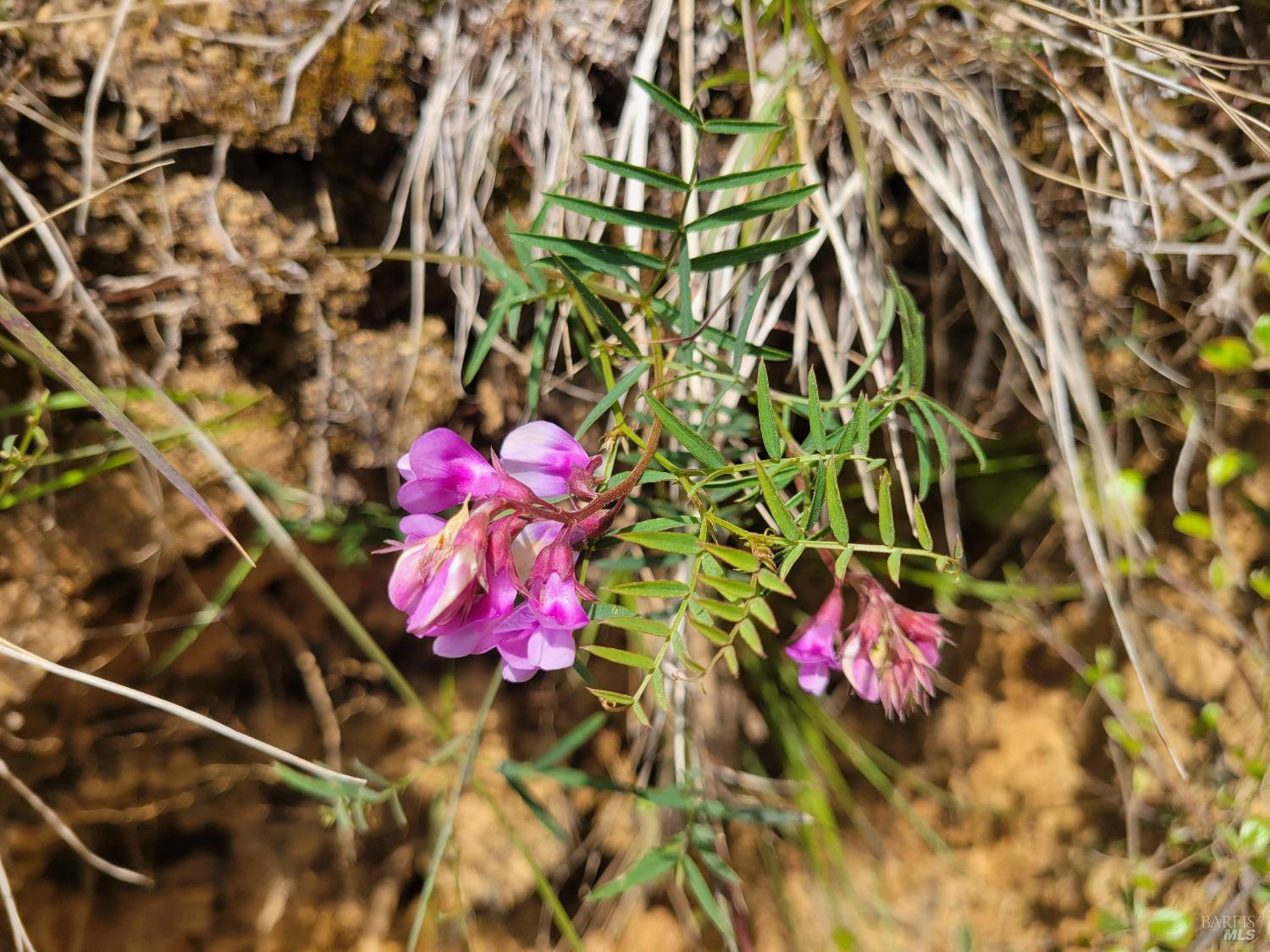 Detail Gallery Image 25 of 28 For 34601 S Highway 1 Unkn, Gualala,  CA 95445 - 0 Beds | 0 Baths
