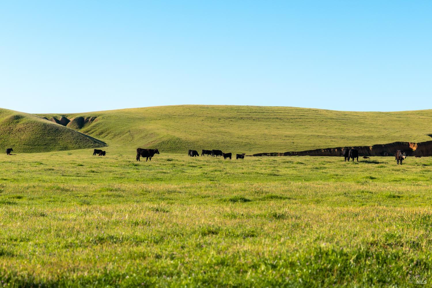 Detail Gallery Image 7 of 20 For 0 Rancho Tehama Rd, Red Bluff,  CA 96021 - – Beds | – Baths