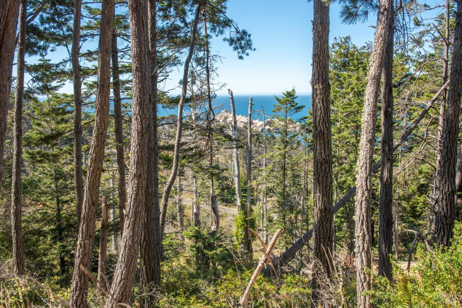 Detail Gallery Image 18 of 28 For 34601 S Highway 1 Unkn, Gualala,  CA 95445 - 0 Beds | 0 Baths