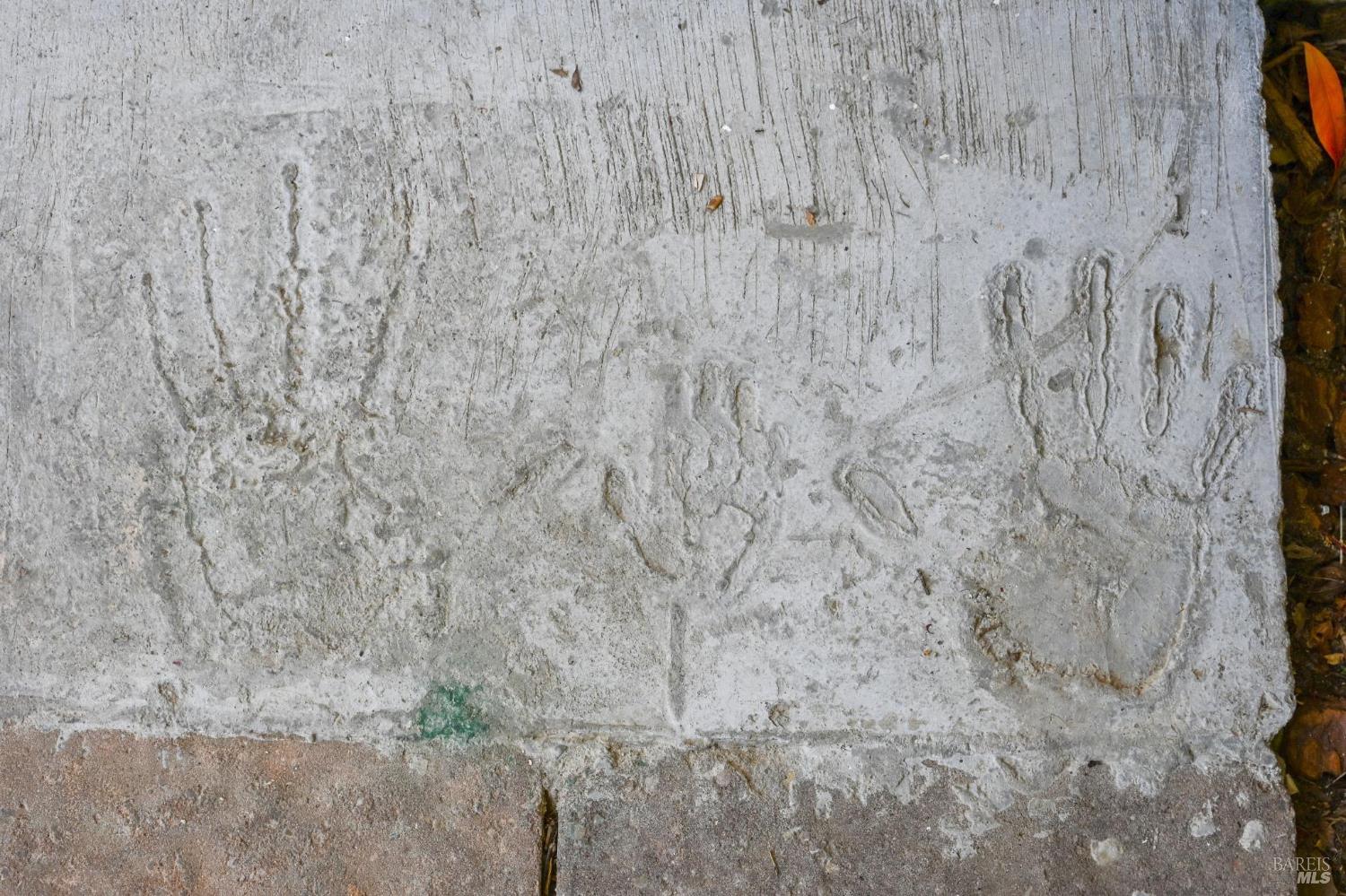 Detail Gallery Image 68 of 70 For 144 Morningside Dr, San Anselmo,  CA 94960 - 3 Beds | 2 Baths