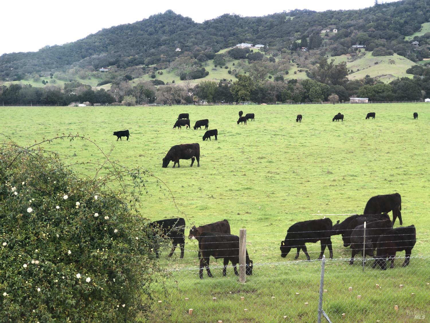 Detail Gallery Image 9 of 24 For 1508 Gladstone Way, Rohnert Park,  CA 94928 - 4 Beds | 2 Baths