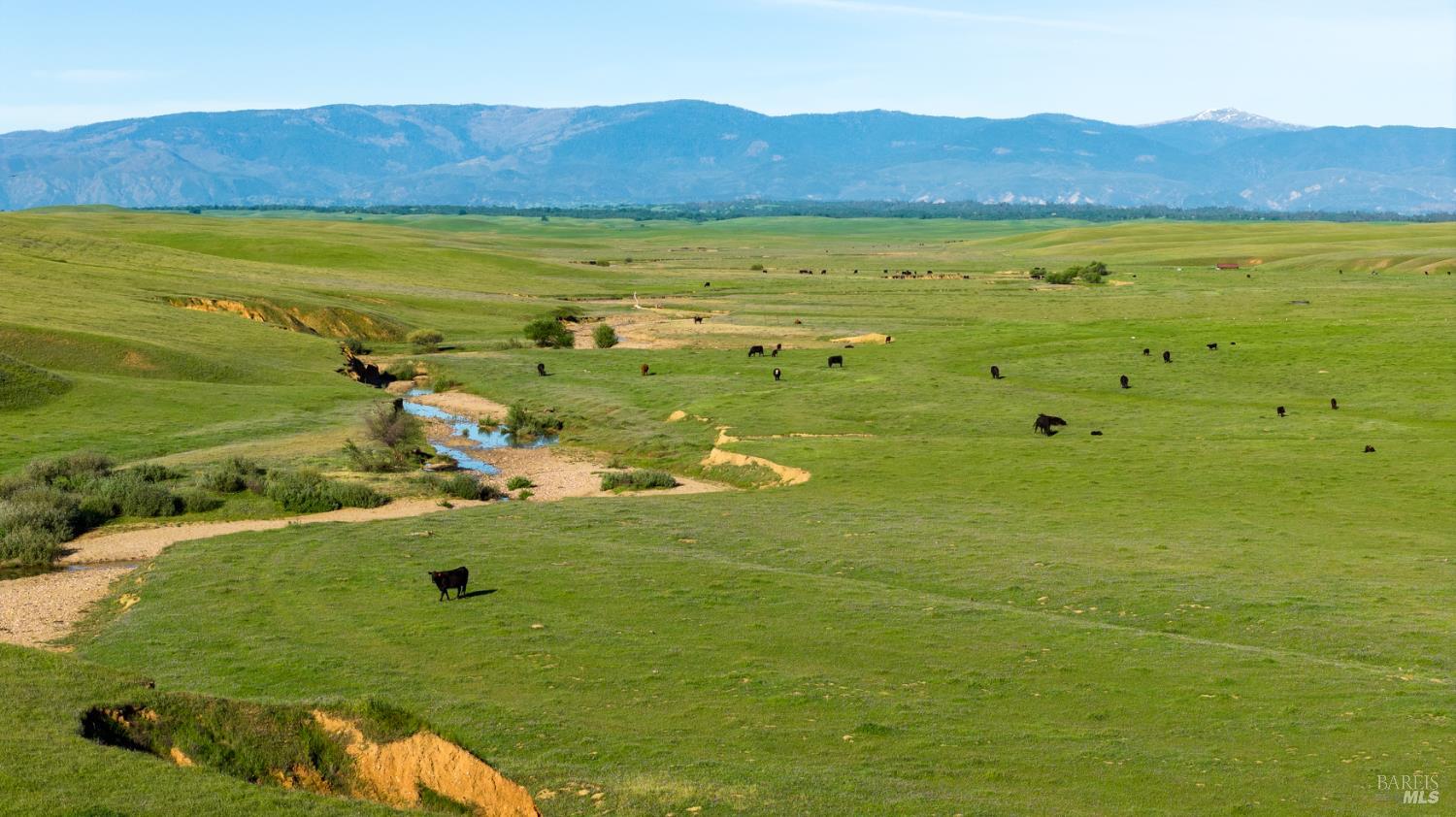 Detail Gallery Image 14 of 20 For 0 Rancho Tehama Rd, Red Bluff,  CA 96021 - – Beds | – Baths