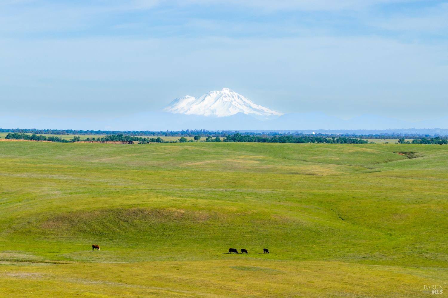 Detail Gallery Image 2 of 20 For 0 Rancho Tehama Rd, Red Bluff,  CA 96021 - – Beds | – Baths