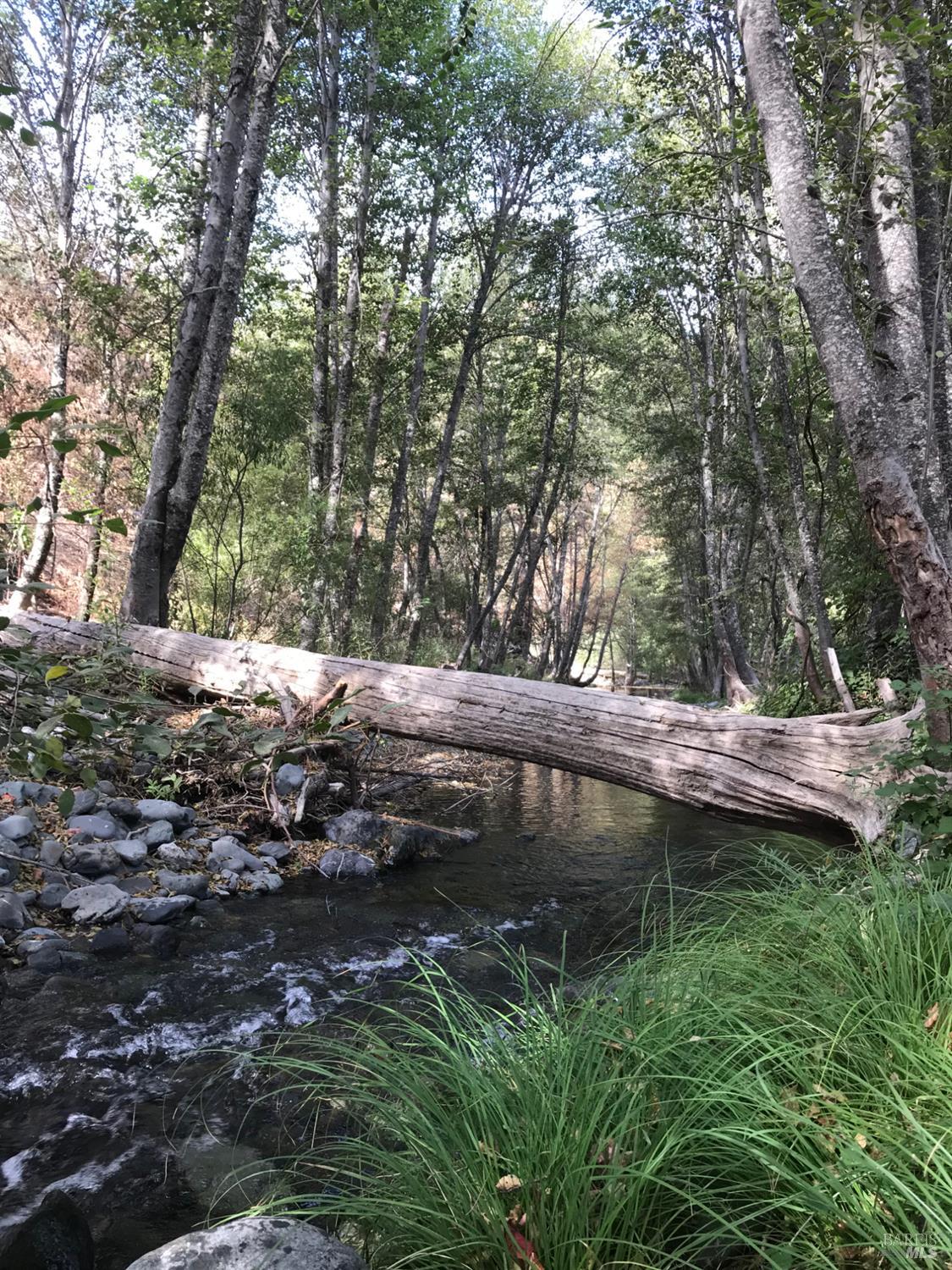 Detail Gallery Image 9 of 16 For 2168 Bear Creek Rd, Upper Lake,  CA 95485 - – Beds | – Baths