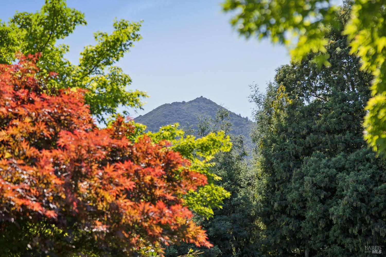 Detail Gallery Image 49 of 62 For 85 Berens Dr, Kentfield,  CA 94904 - 3 Beds | 2 Baths