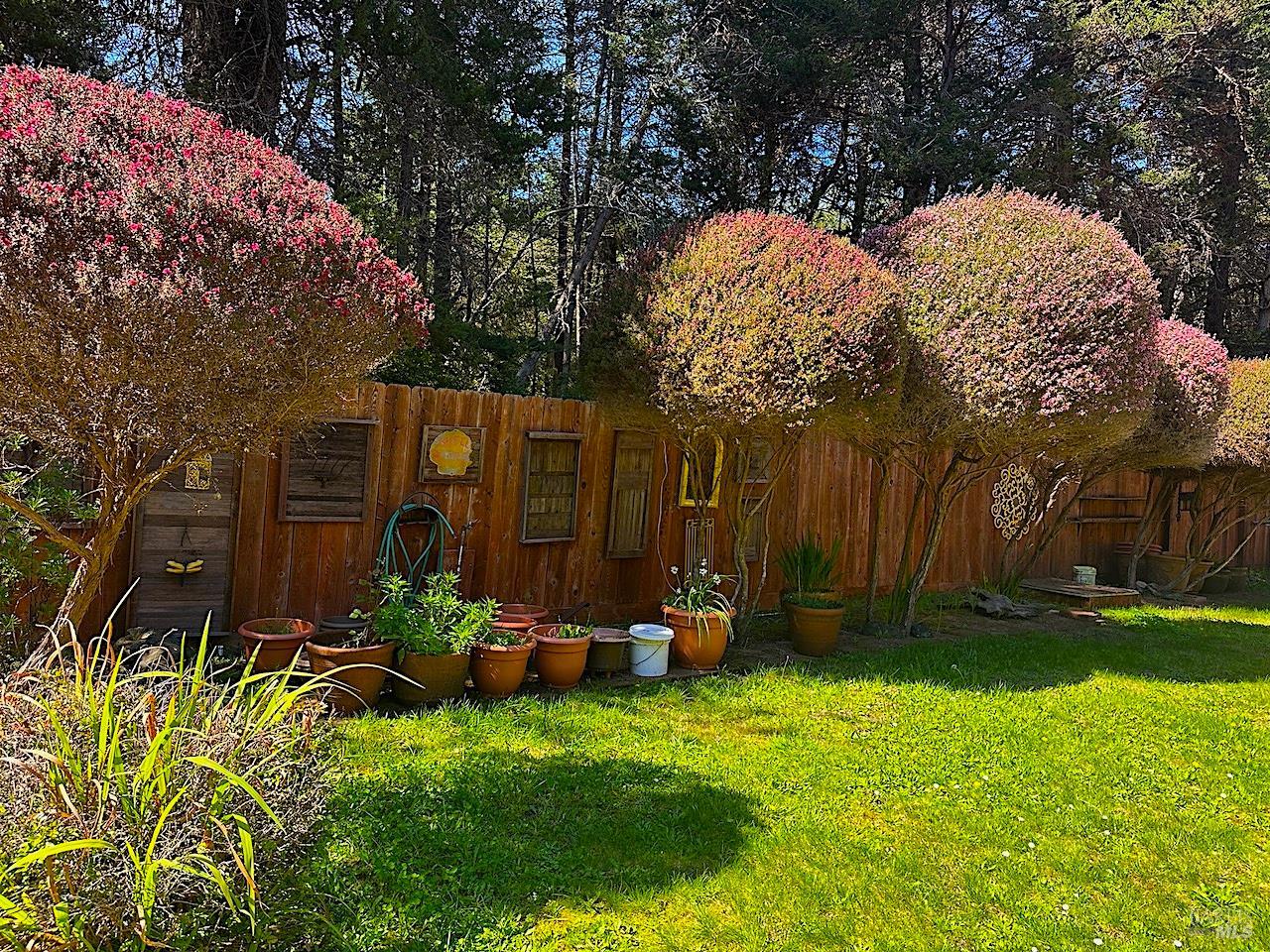 Detail Gallery Image 12 of 27 For 10360 Gary Ln, Mendocino,  CA 95460 - 2 Beds | 1/1 Baths