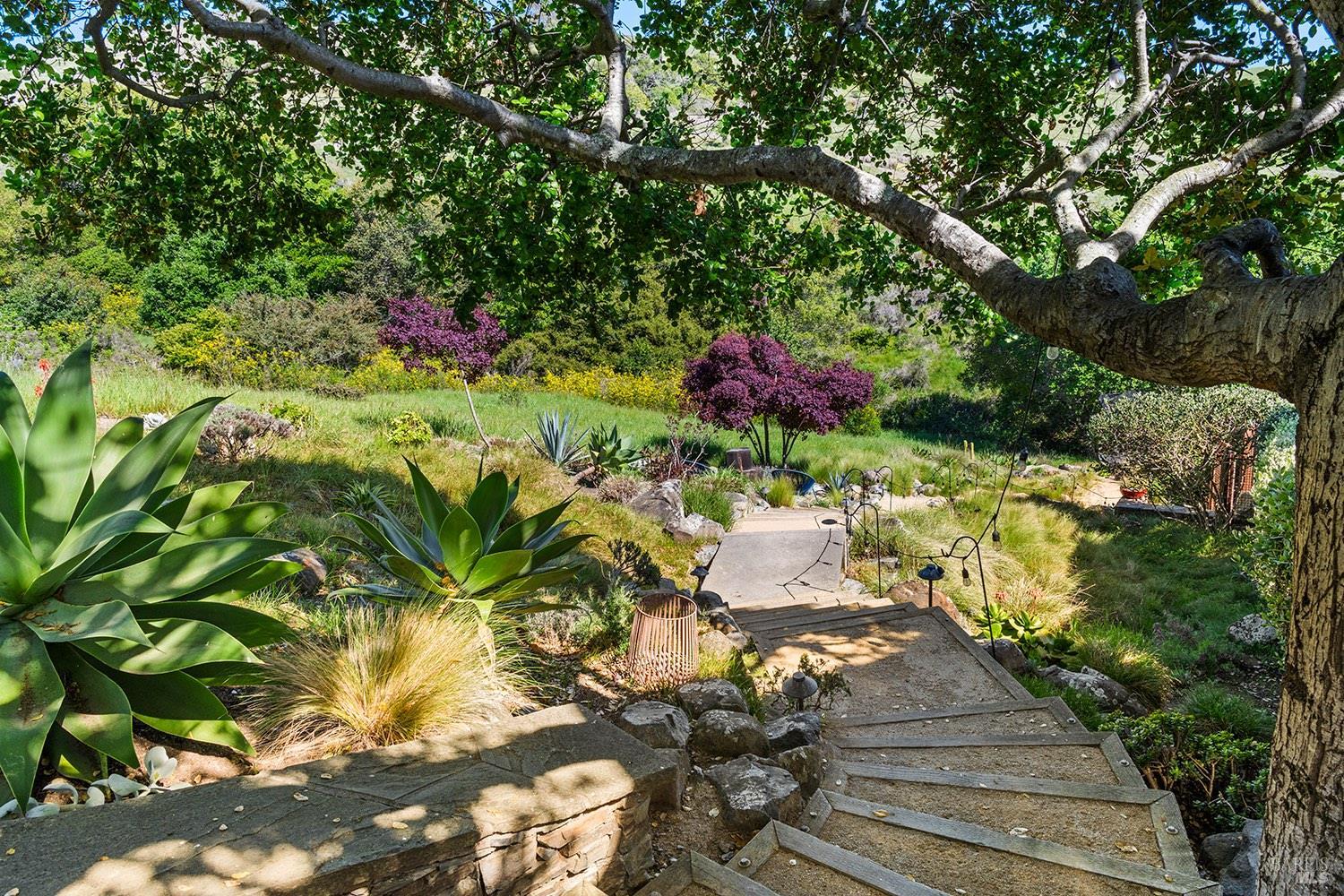 Detail Gallery Image 51 of 69 For 8 Mariposa Ct, Tiburon,  CA 94920 - 4 Beds | 5/2 Baths