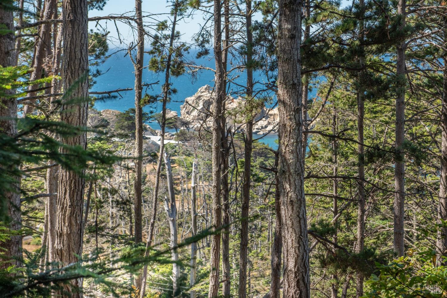 Detail Gallery Image 19 of 28 For 34601 S Highway 1 Unkn, Gualala,  CA 95445 - 0 Beds | 0 Baths