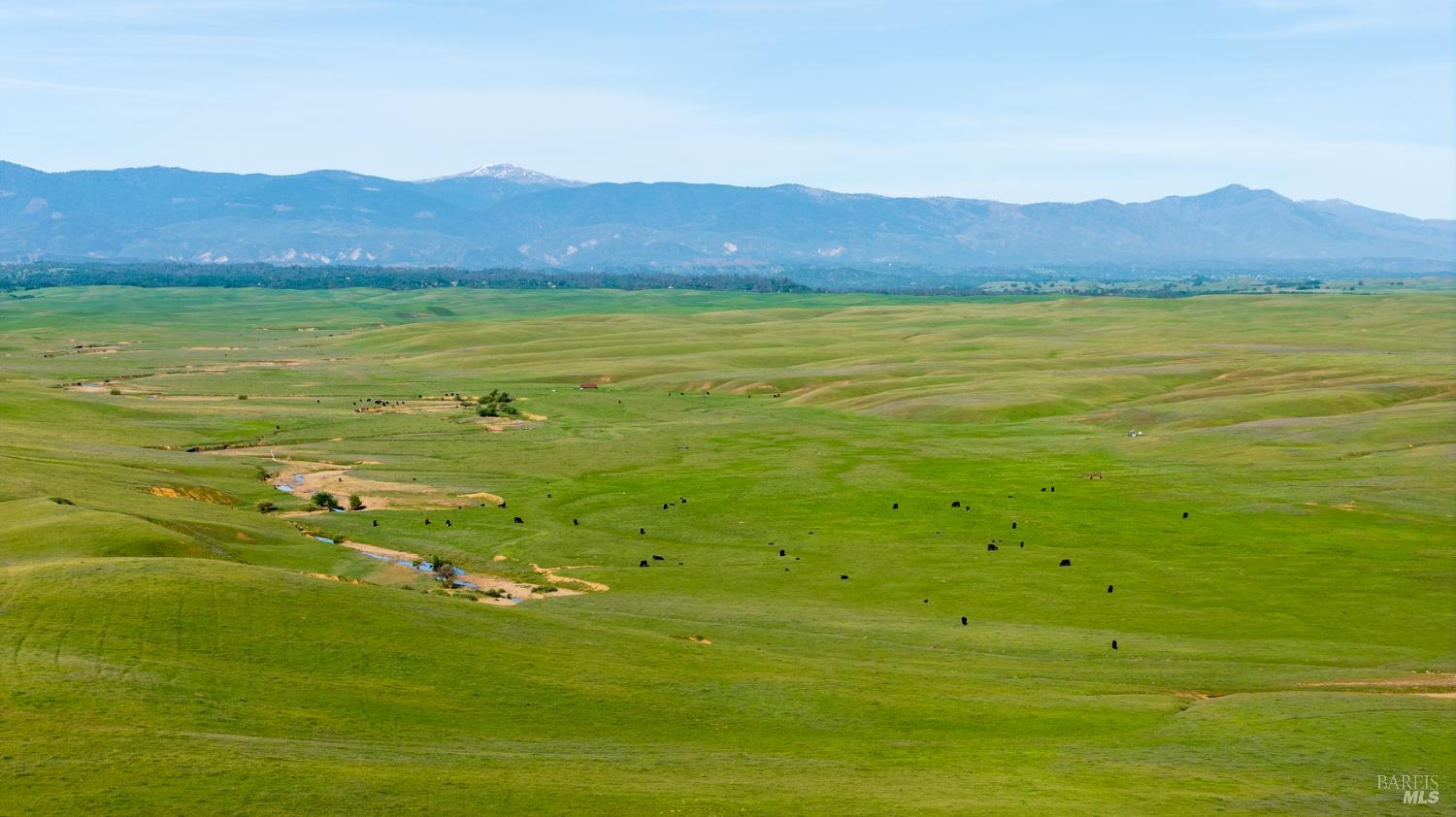 Detail Gallery Image 12 of 20 For 0 Rancho Tehama Rd, Red Bluff,  CA 96021 - – Beds | – Baths