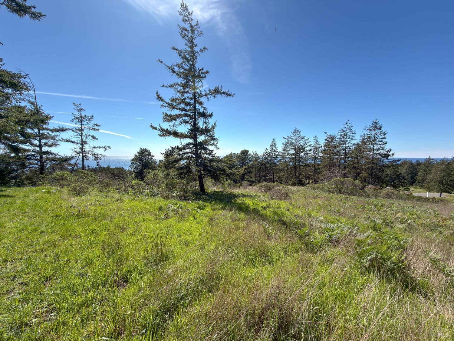 Detail Gallery Image 5 of 10 For 100 Lupine Close Unkn, The Sea Ranch,  CA 95497 - – Beds | – Baths