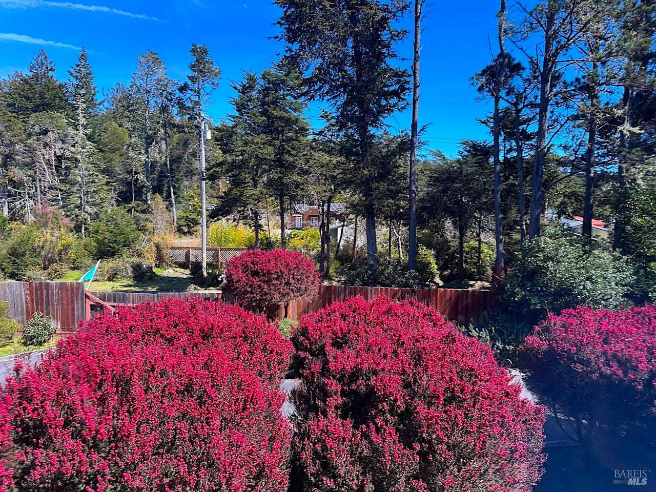 Detail Gallery Image 21 of 27 For 10360 Gary Ln, Mendocino,  CA 95460 - 2 Beds | 1/1 Baths