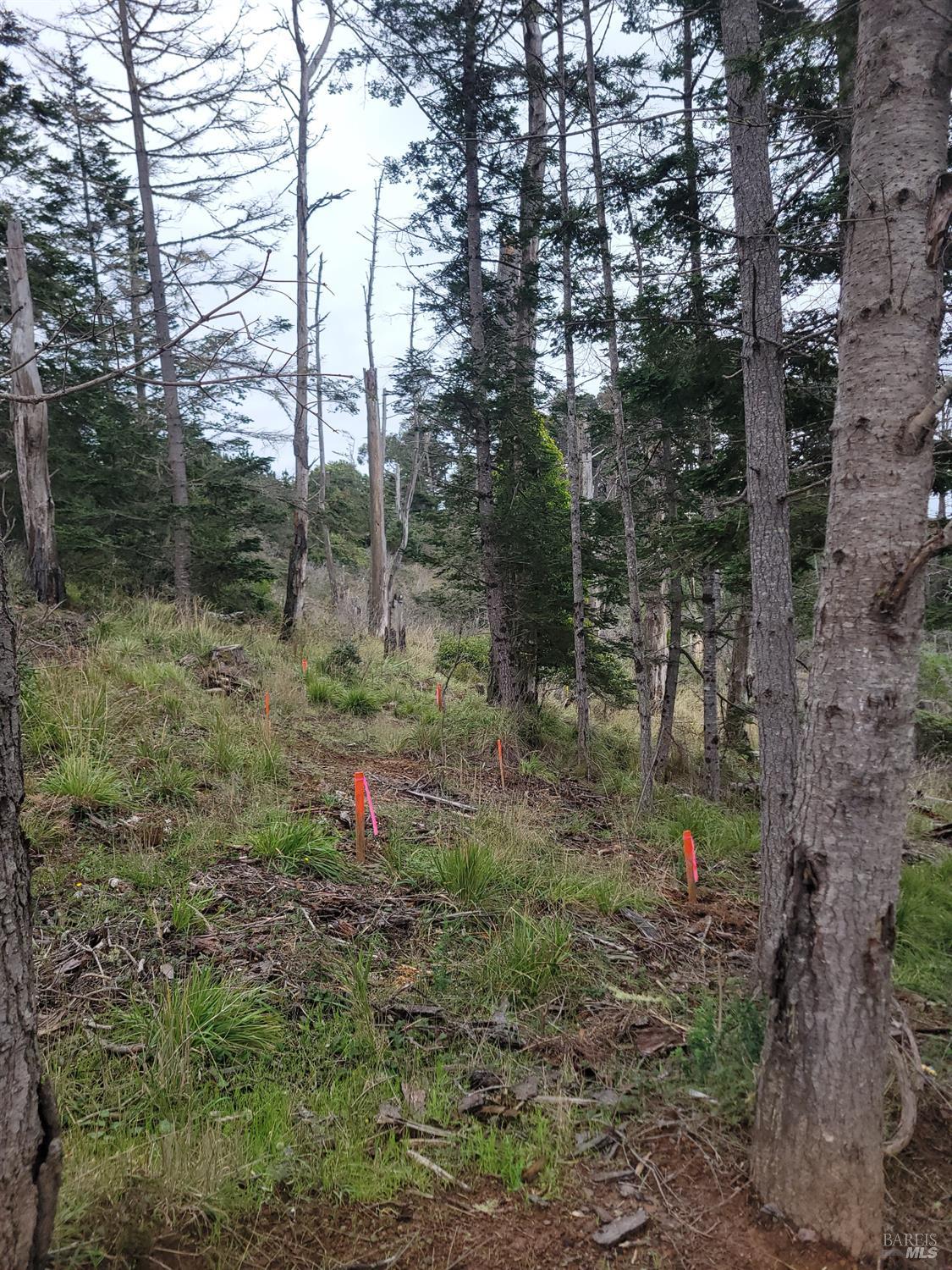 Detail Gallery Image 28 of 28 For 34601 S Highway 1 Unkn, Gualala,  CA 95445 - 0 Beds | 0 Baths