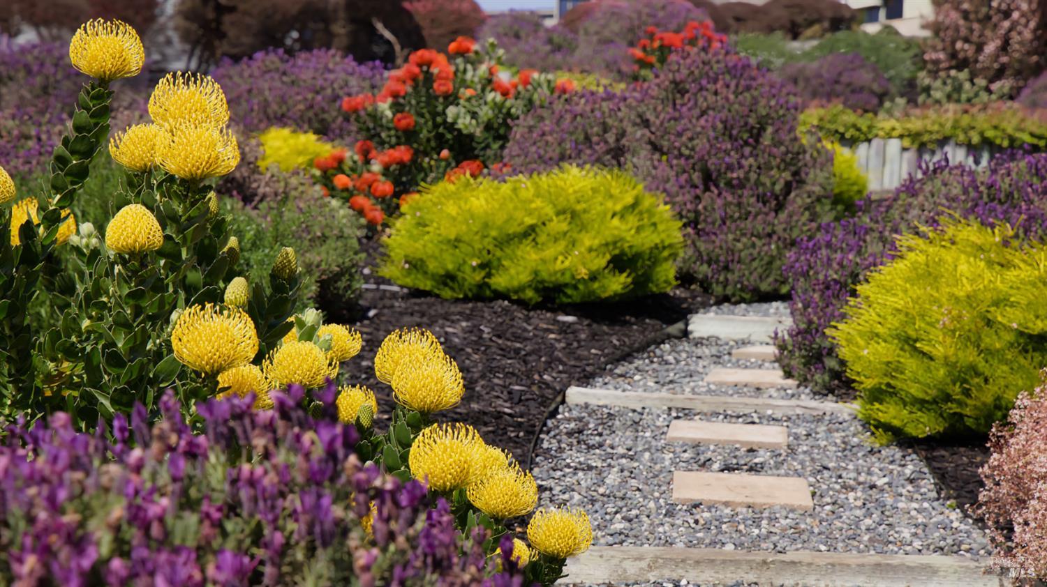 Detail Gallery Image 30 of 43 For 142 Poppy Ct, Bodega Bay,  CA 94923 - 3 Beds | 3 Baths