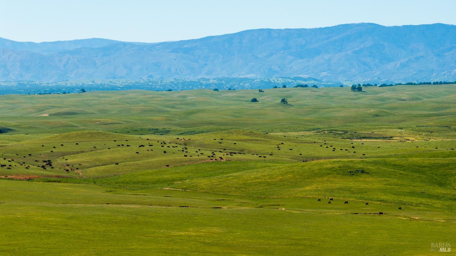 Front Image Thumbnail for BA326026056