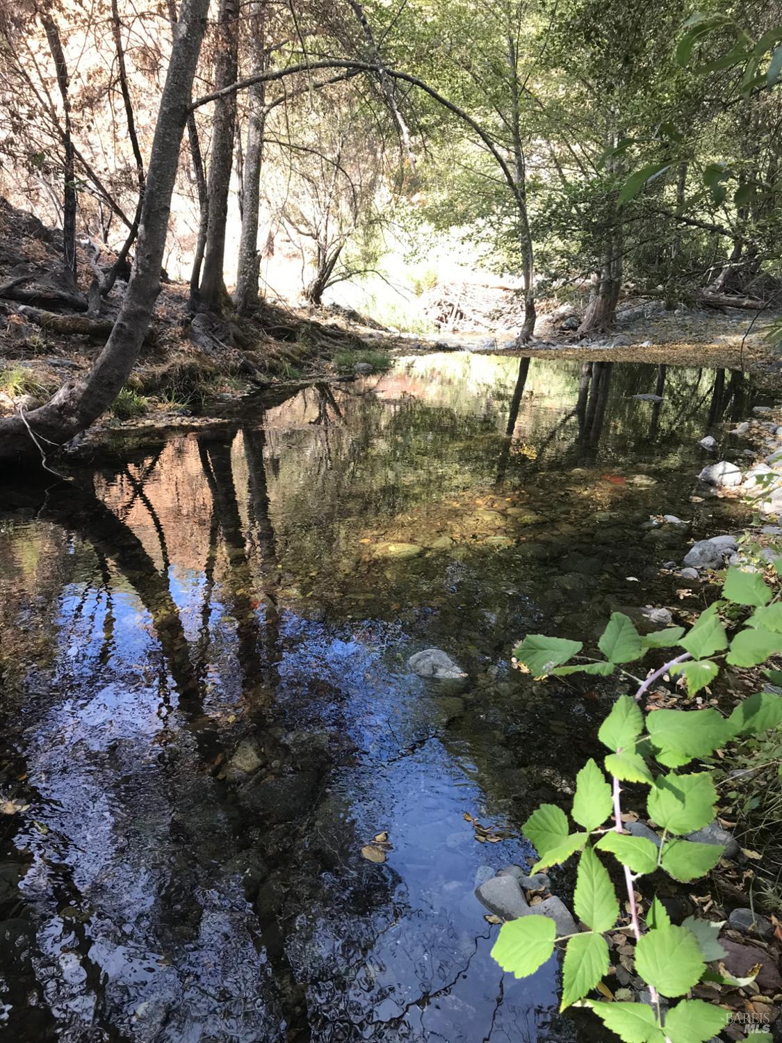 Detail Gallery Image 7 of 16 For 2168 Bear Creek Rd, Upper Lake,  CA 95485 - – Beds | – Baths