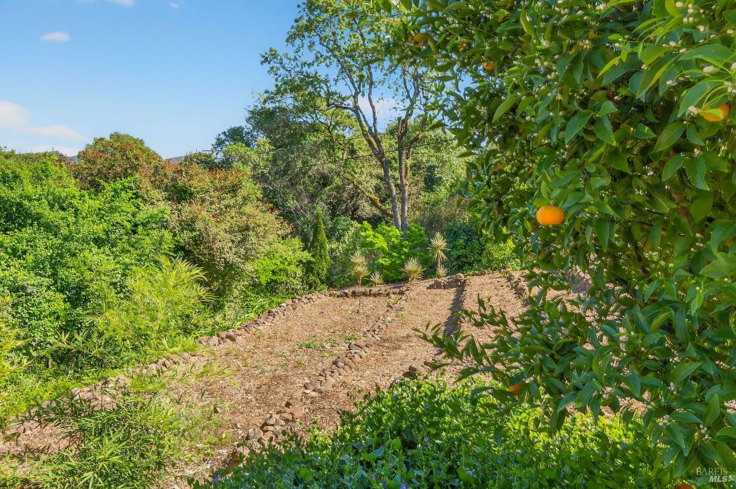 Detail Gallery Image 39 of 47 For 4460 Bennett Valley Rd, Santa Rosa,  CA 95404 - 3 Beds | 2 Baths