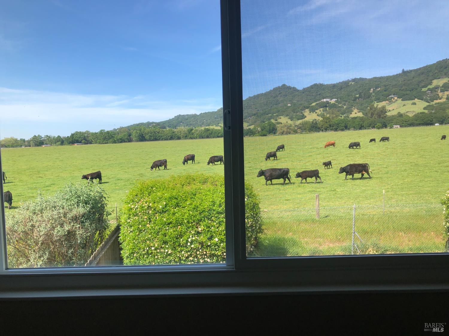 Detail Gallery Image 21 of 24 For 1508 Gladstone Way, Rohnert Park,  CA 94928 - 4 Beds | 2 Baths