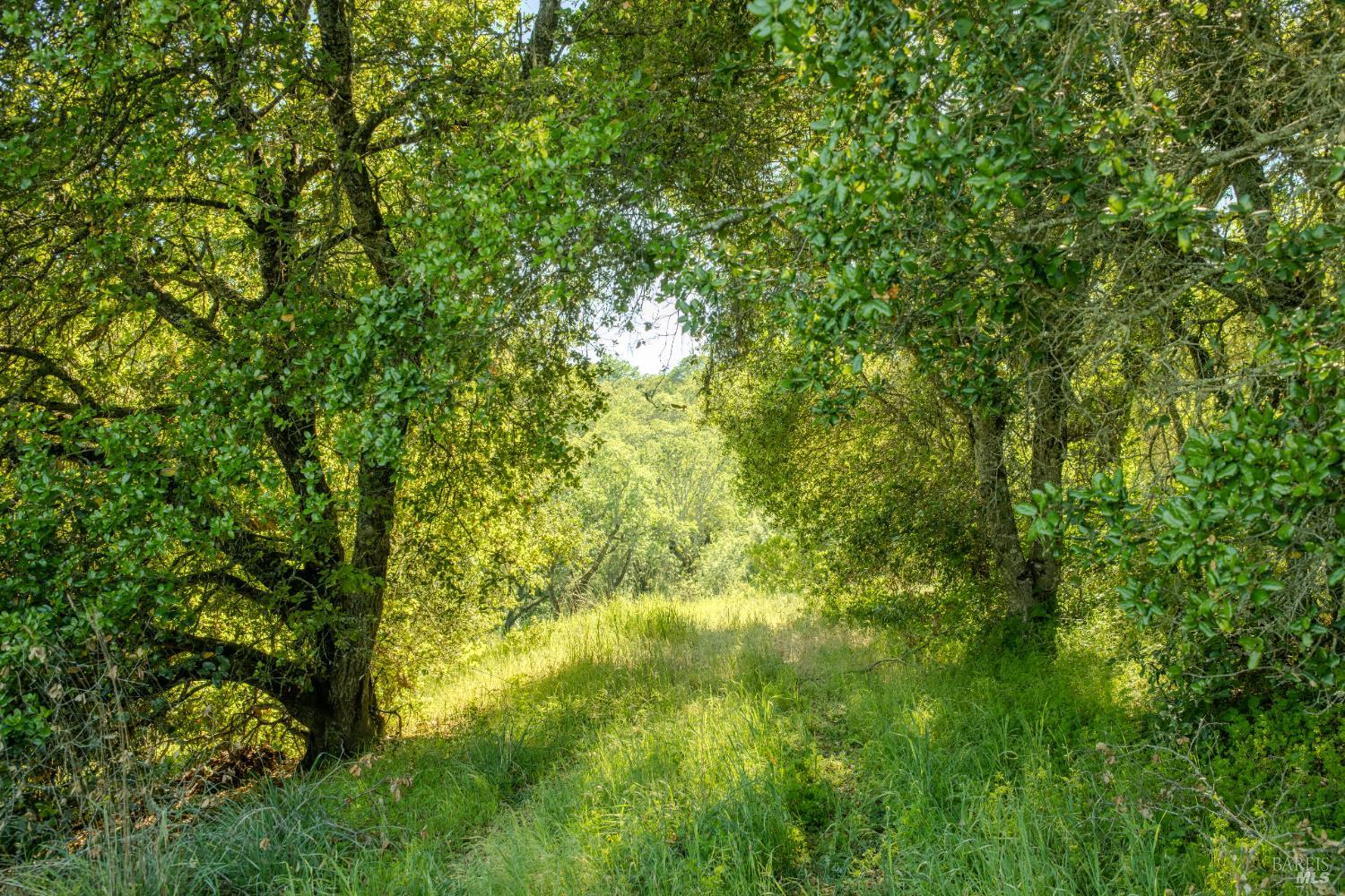 Detail Gallery Image 2 of 5 For 0 Arnold Dr, Sonoma,  CA 95476 - – Beds | – Baths