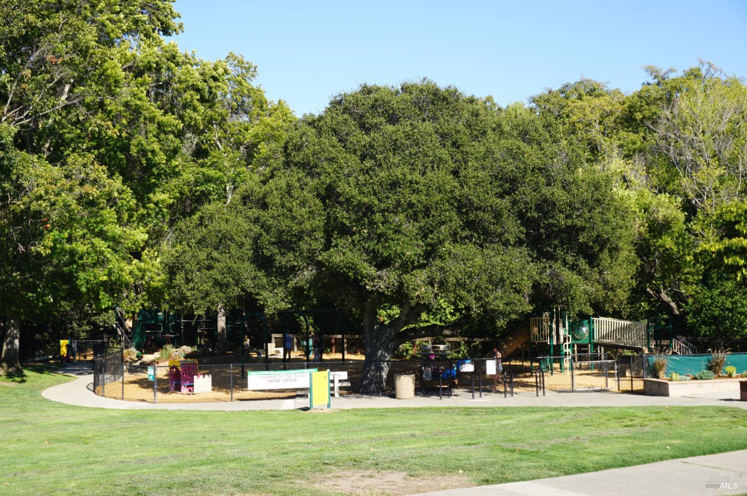 Detail Gallery Image 81 of 93 For 184 Cobblestone Dr, San Rafael,  CA 94903 - 4 Beds | 2 Baths
