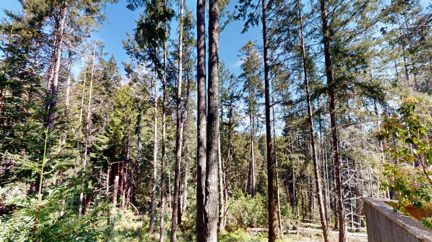 Detail Gallery Image 9 of 30 For 918 River Beach Rd, The Sea Ranch,  CA 95497 - 3 Beds | 2/1 Baths