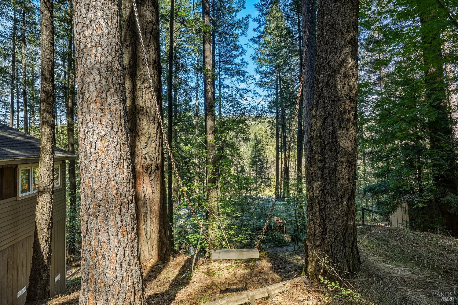 Detail Gallery Image 37 of 47 For 16179 Madrone Blvd, Cobb,  CA 95426 - 1 Beds | 1 Baths