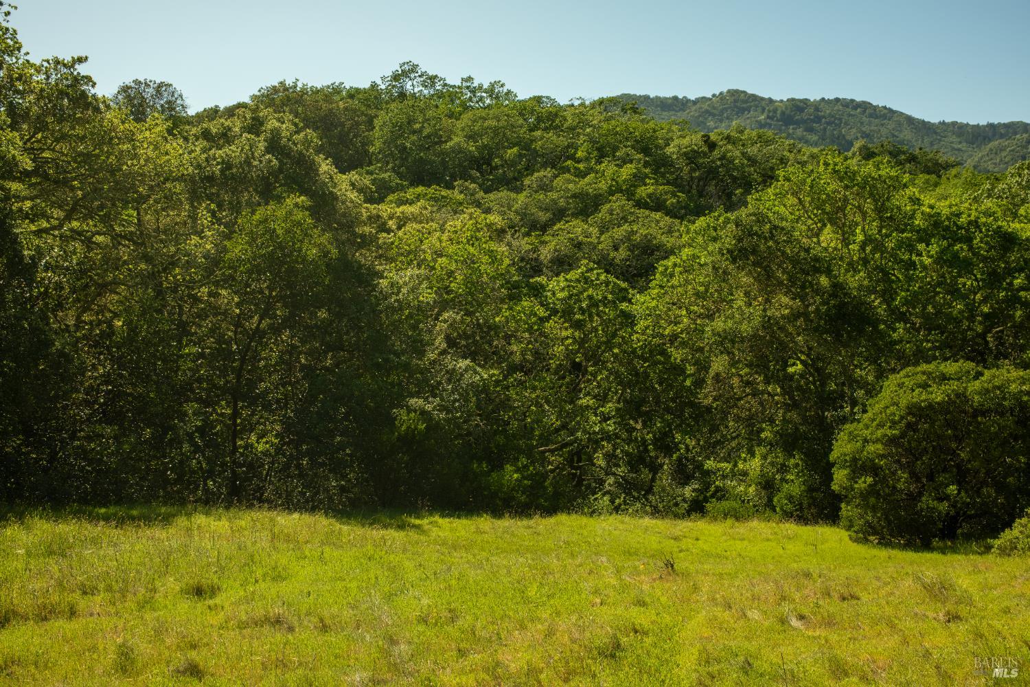 Detail Gallery Image 4 of 5 For 0 Arnold Dr, Sonoma,  CA 95476 - – Beds | – Baths