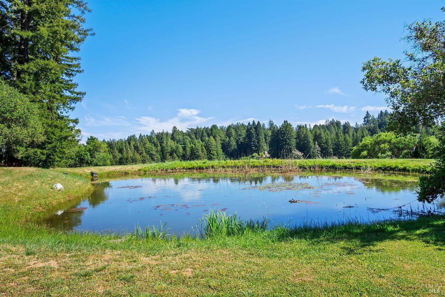 Detail Gallery Image 38 of 49 For 3580 Joy Rd, Occidental,  CA 95465 - 4 Beds | 2/2 Baths