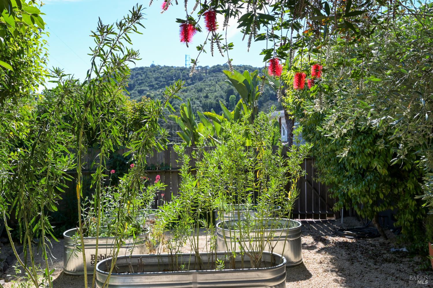 Detail Gallery Image 46 of 48 For 115 Myrtle Ave, San Rafael,  CA 94901 - 3 Beds | 2 Baths