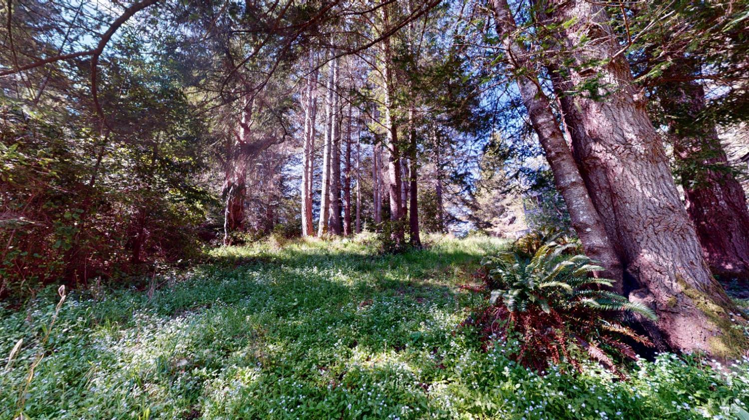 Detail Gallery Image 7 of 30 For 918 River Beach Rd, The Sea Ranch,  CA 95497 - 3 Beds | 2/1 Baths