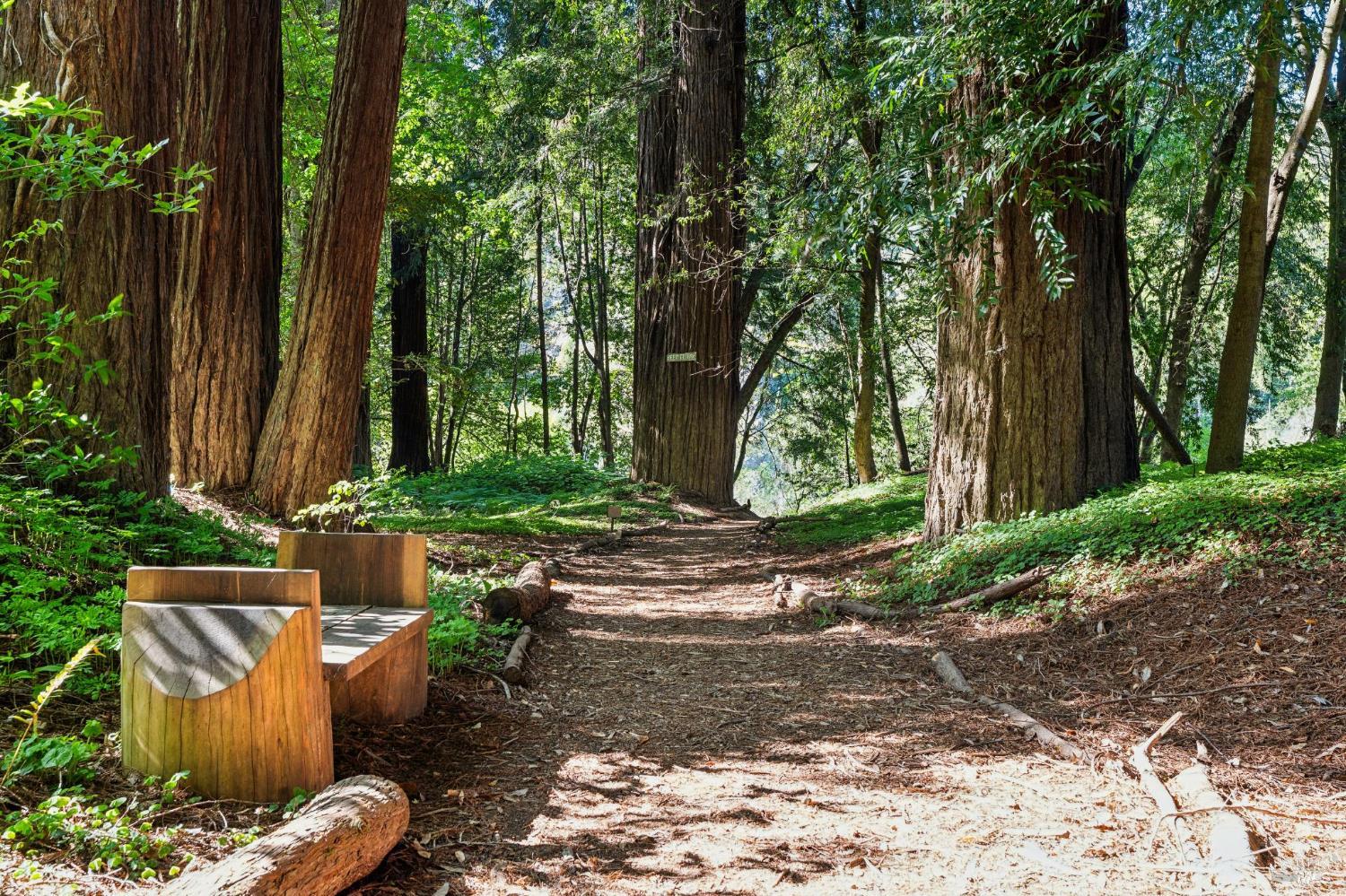 Detail Gallery Image 14 of 66 For 21911 Russian River Ave, Villa Grande,  CA 95486 - 1 Beds | 1 Baths