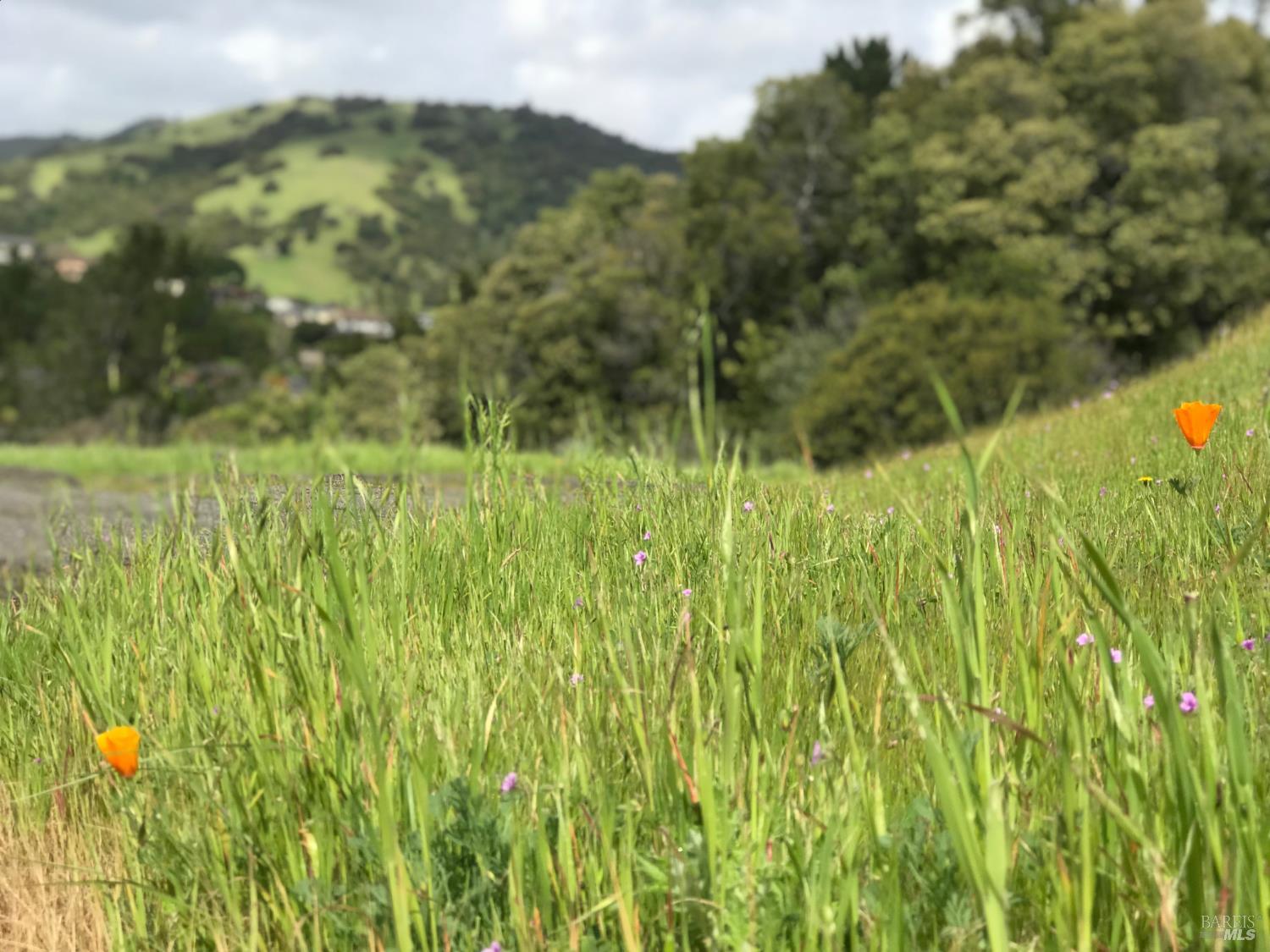 Detail Gallery Image 91 of 93 For 184 Cobblestone Dr, San Rafael,  CA 94903 - 4 Beds | 2 Baths
