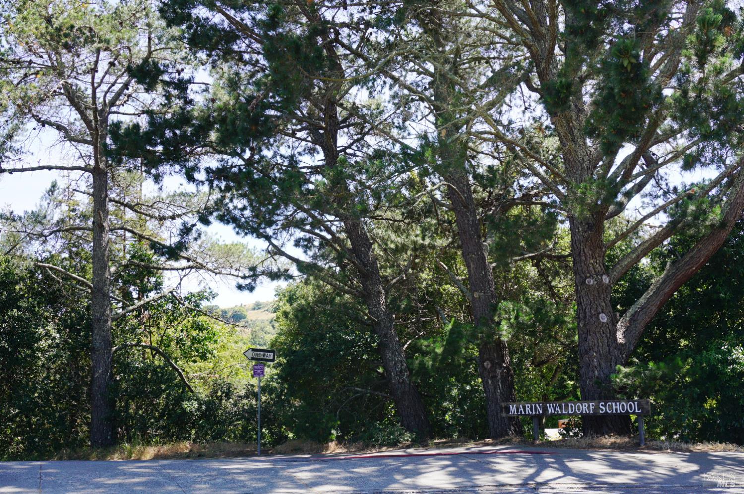 Detail Gallery Image 92 of 93 For 184 Cobblestone Dr, San Rafael,  CA 94903 - 4 Beds | 2 Baths